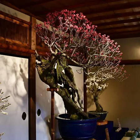 Cozy House 411 Free Wifi A Rented Electric Bicycle Apartment Kyoto Exterior photo