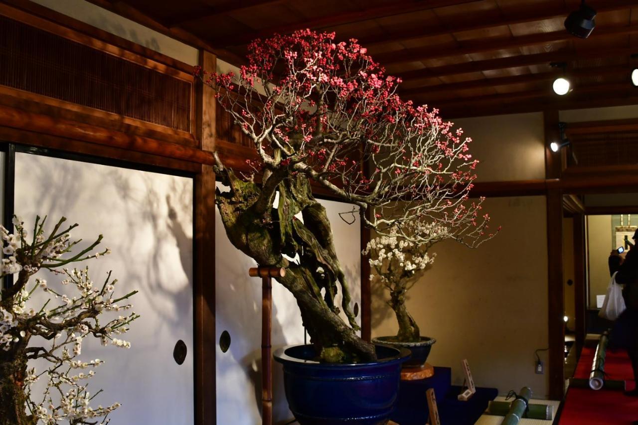 Cozy House 411 Free Wifi A Rented Electric Bicycle Apartment *